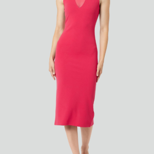 Fallen Angel Mesh Midi Dress